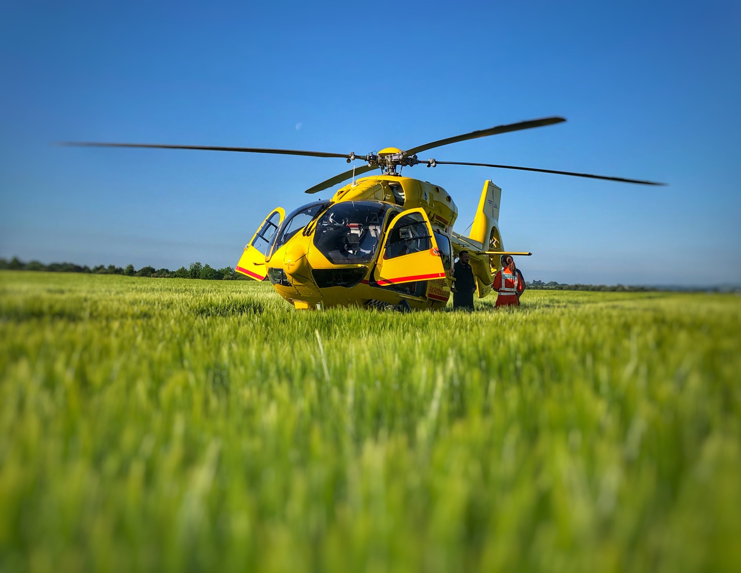 Yellow helicopter landing in green field