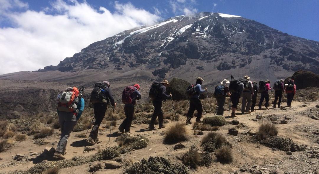 Hiking Kilimanjaro